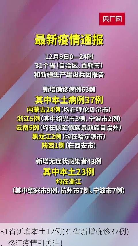 31省新增本土12例(31省新增确诊37例),怒江疫情引关注!