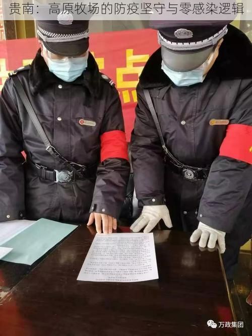 贵南:高原牧场的防疫坚守与零感染逻辑