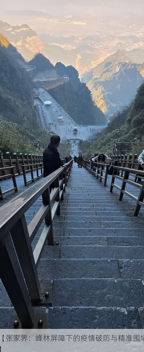 【张家界：峰林屏障下的疫情破防与精准围堵】