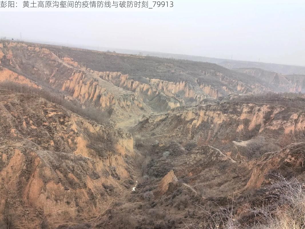 彭阳：黄土高原沟壑间的疫情防线与破防时刻_79913