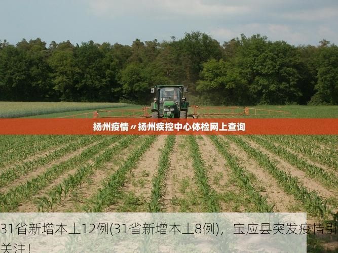 31省新增本土12例(31省新增本土8例),宝应县突发疫情引关注!