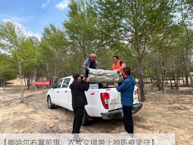 【察哈尔右翼前旗:农牧交错带上的防疫坚守】