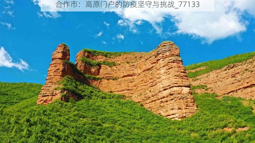 合作市：高原门户的防疫坚守与挑战_77133