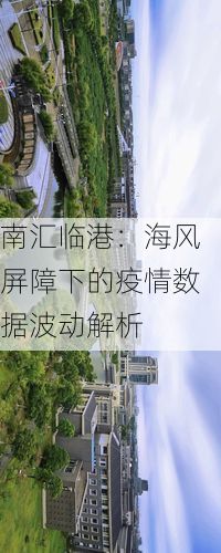 南汇临港:海风屏障下的疫情数据波动解析