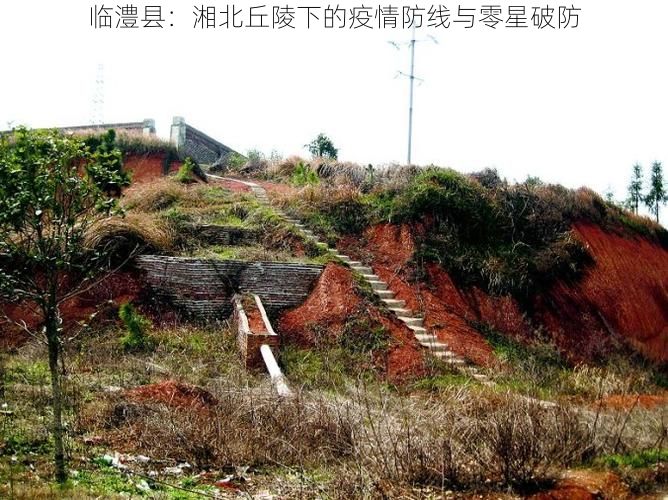 临澧县:湘北丘陵下的疫情防线与零星破防