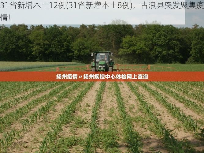 31省新增本土12例(31省新增本土8例),古浪县突发聚集疫情!