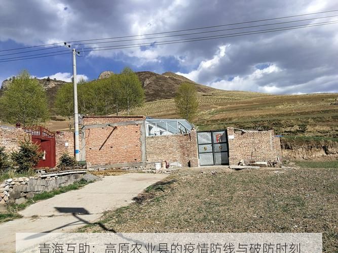 青海互助:高原农业县的疫情防线与破防时刻