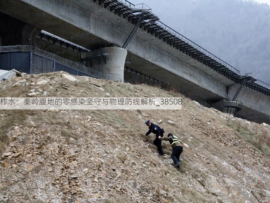 柞水:秦岭腹地的零感染坚守与物理防线解析_38508