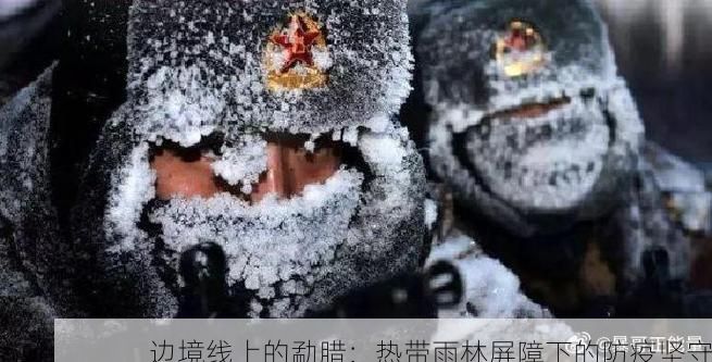 边境线上的勐腊:热带雨林屏障下的防疫坚守